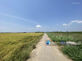 Bán đất thổ cư - khu dân cư Xóm Đen, Bình Ân, Gò Công Đông, Tiền Giang