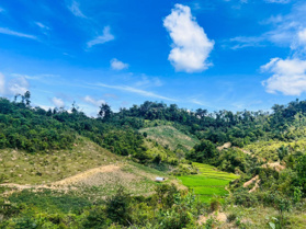 Bán đất rộng giá rẻ Măng Đen sổ 1530m2 thực tế 3000 giá 550tr