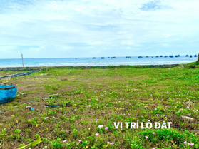 Giảm giá đặc biệt: lô đất 155m2 đất mặt tiền biển đẹp nhất biển Châu Tân, Bình Châu, Quảng Ngãi