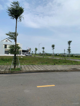 Lô biệt thự Nam Khang Thi Phổ, Mộ Đức: 8x25m, 200m2 giá chỉ 945tr