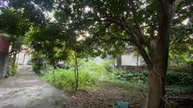 Cho thuê nhà đất chính chủ, kinh doanh tốt