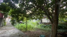 Chính chủ cho thuê nhà riêng lâu dài