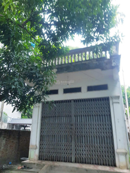 Chính chủ cần cho thuê nhà cấp 4 tại Vĩnh Thịnh, P Khai Quang, TP Vĩnh Yên, tỉnh VP