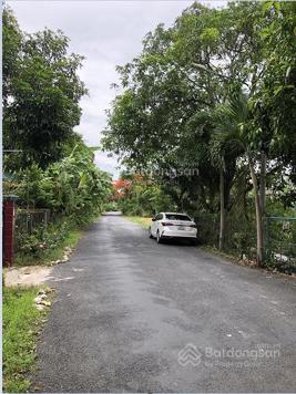 Đất gia đình chính chủ cần bán (không qua cò lái)