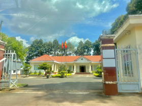 Thu hoạch 150tr/năm từ vườn sầu thái 1000m2, tc 100m2, giá chỉ 200tr, cách ủy ban Long Bình 500m