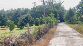 Cần bán miếng đất đang trồng sầu hơn 6000m2 có sẵn căn nhà cấp 4 bán đủ 1tỷ250tr