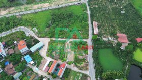 Bán đất đấu giá X1 thôn Hội Phụ xã Đông Hội huyện Đông Anh giáp Vinhomes Cổ Loa