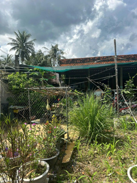 Nhà giá rẻ KCN Tân Hương DT 8,3 x32m thổ cư, hướng Đông Nam, chỉ 799tr