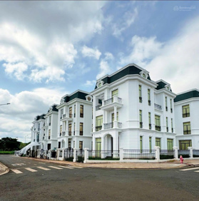 Bán căn góc 2 MT biệt thự 3 mê Eco City Premia, 12,5 tỷ, 285,9m2