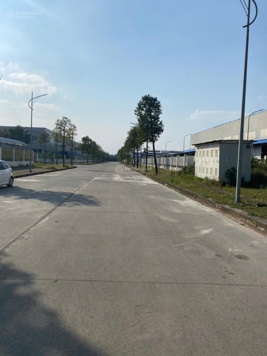Chuyển nhượng gấp 1ha đất cụm công nghiệp Cầu Yên, Ninh Phong, Ninh Bình