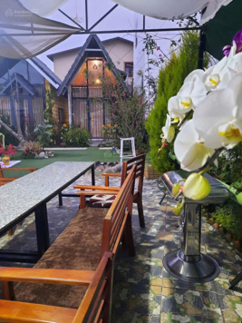 Cho thuê home 500m2 đường Trạng Trình, P9