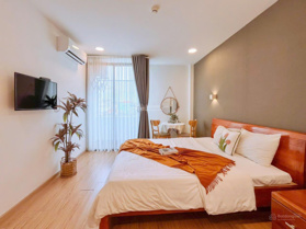 Cho thuê căn hộ mini mới đẹp ngay trung tâm Bãi Trước Vũng Tàu