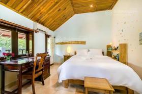 Cho thuê villa 3 tầng đẹp mướt mờ - có hồ bơi - Khu Nam Việt Á