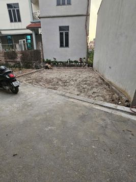 SIÊU HIẾM ĐA TỐN GIA LÂM.