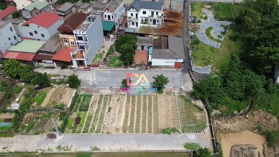 Bán đất đấu giá X3 Đào Thục xã Thụy Lâm Đông Anh 