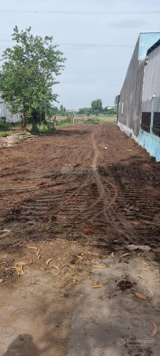 315m2 thổ cư + 1149m2 đất lúa cách Tỉnh lộ 823D 300m