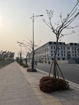 Chuyển nhượng SH - LK dự án Louis City Hoàng Mai vị trí đẹp đường 40m, 22.5m, 17.5m, giá từ 25.X tỷ