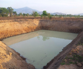 Farm thực hợp nghỉ dưỡng cuối tuần