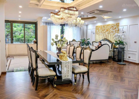 (Chính chủ) căn hộ sân vườn 300m2 đẹp nhất tại chung cư Euroland Hà Đông, Hà Nội