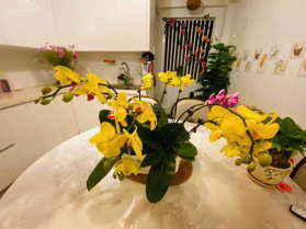 Bán NR CC 60m2, 12 tỷ, 6PN, 5WC tại Trương Định, Hai Bà Trưng, Hà Nội giá cực chất 0989 924 211