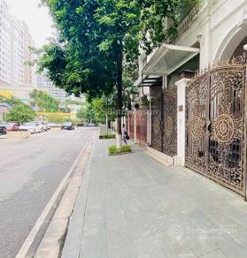 Bán biệt thự nhà vườn tại Hapulico Complex, có thang máy 140m2, 3 tầng, 1 tum, 1 hầm, giá ưu đãi