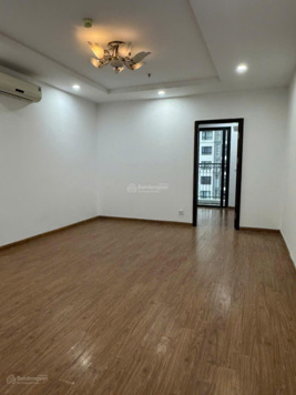 Bán căn hộ 1PN toà T11 view đẹp tại Times City, 4,7 tỷ, 54m2, Q. Hai Bà Trưng, HN
