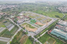 Bán đất tái định cư Cổ Dương Tiên Dương Đông Anh mặt đường 40m kinh doanh