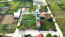 Bán đất đấu giá X2 xóm Ngõ, Khê Nữ, Nguyên Khê, Đông Anh sát đường Võ Nguyên Giáp