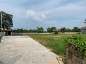 Bán đất chính chủ 529m2 tại Hồng Giang Lục Ngạn