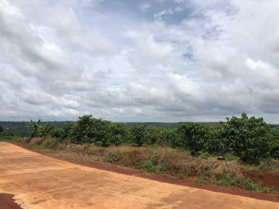 Chính chủ bán đất mặt đường Trần Khánh Dư xã Đắk Nia, TP Gia Nghĩa, giá rất rẻ