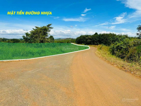 Cần bán đất mặt tiền đường nhựa giá chỉ 280tr/sổ 1059m2, sổ sẵn công chứng ngay. LH 0919 098 687