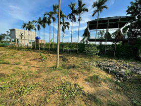 Đất nhà vườn mặt tiền đường nhựa Diêu Phong, Hoà Nhơn. Diện tích: 1800m2 có 250m2 đất ở ngang 15m