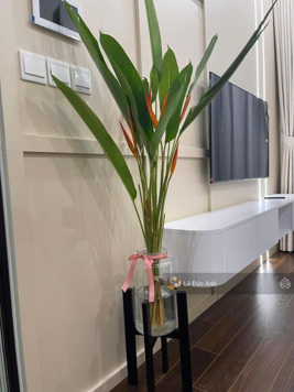 Chủ nhà thiện chí bán căn hộ 1PN 1K (45m2) full tại Mulberry Lane, Hà Đông - hỗ trợ vay ngân hàng