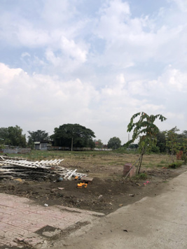 Cần bán 2 lô đất liền kề gần chợ Mỹ Hạnh Nam