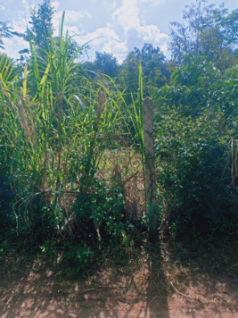 Cần tiền bán gấp lô đất, Nguyễn Thi Thập, gần UB Phường Đoàn Kết, 10x48=487m2 có 40m thổ cư