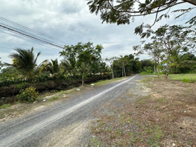 Bán nhanh lô đất thổ cư đẹp, kế bên E.City Tân Đức, nằm gần ngay trung tâm thị trấn Đức Hòa