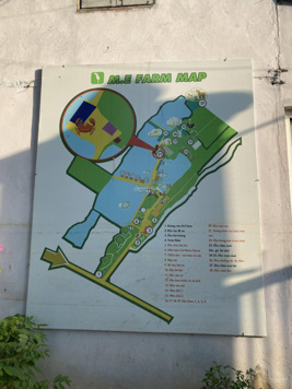 Bán 1000m2 đất Thanh Trì mặt đường xe container tránh chỉ 2.3 tỷ