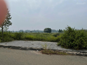 Chủ ngộp cần bán gấp lô TDC Suối Nghệ, giá chỉ 920 triệu thôi