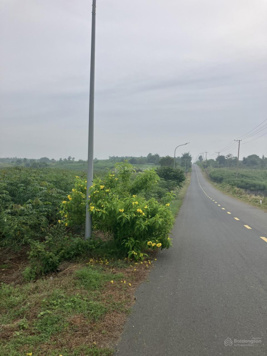 Bán gấp đất mặt tiền đường Quảng Phú Phước An