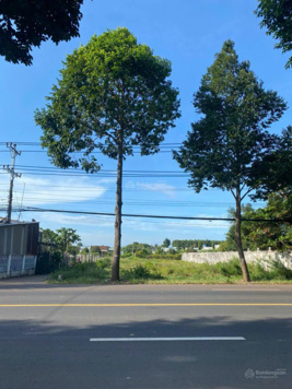 Bán đất 2 mặt tiền Quốc Lộ 55, xã Bông Trang, huyện Xuyên Mộc, 1,035m2 - giá chỉ 9.2 tỷ