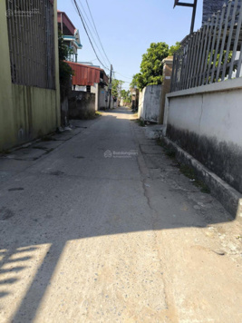 Chính chủ cần bán 65.3 m2 đất thổ cư tại Mai Nội xã Mai Đình Sóc Sơn Hà Nội