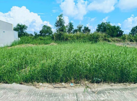 Chính chủ bán gấp 120M2 SHR thổ cư gần BV đa khoa Cà Mau. MT Hải Thượng Lãn Ông, khóm 6