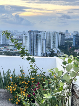 Share phòng lớn trong căn Penthouse 567m2 Tầng 27 Cc Hoàng Anh An Tiến - Nhà Bè - Sát Quận 7