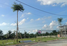 Xoay vốn bán gấp đất Đ. Cao Triều Phát, Phường 8, Cà Mau, 140m2. SHR, Thổ Cư 100%