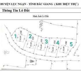 Cần bán gấp 5 lô biệt thự - Kiên Thành - Lục Ngạn - Bắc Giang