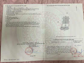 Cần bán gấp đất thổ cư giá rẻ gần cầu Tứ Liên, Vinhome Cổ Loa, thích hợp đầu tư sinh lời lâu dài