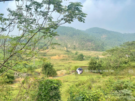 Bán Đất tại Đường 21, Xã Tiến Xuân, Thạch Thất, Hà Nội, 5 triệu, 6000 m2 - Chính chủ uy tín.