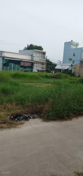 ĐẤT ĐẸP - DÂN CƯ HIỆN HỮU - SHR - HƯỚNG TL10 - CÂY DƯƠNG