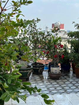 Bán nhà Quận 6 - Bán nhà mặt tiền Phú Lâm B - Kinh Dương Vương - VIP.