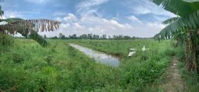 Đất chính chủ - giá tốt vị trí Xã Tân Bình, Châu Thành, Đồng Tháp